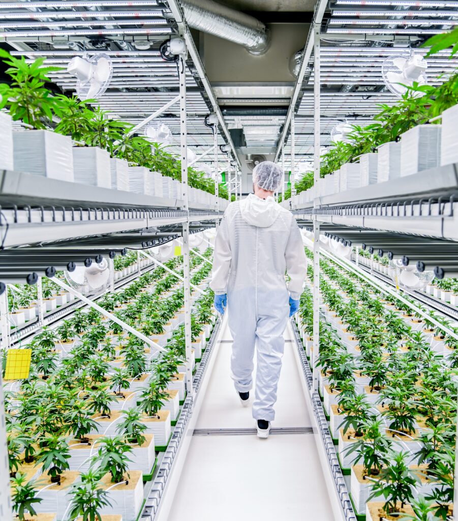Multilayer cultivation with LED lighting